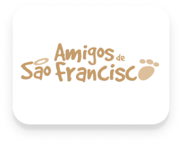 Ong Amigos São Francisco