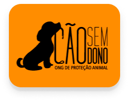 Ong Cão Sem Dono